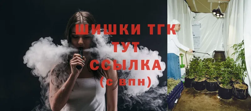 Бошки марихуана THC 21%  Краснослободск 